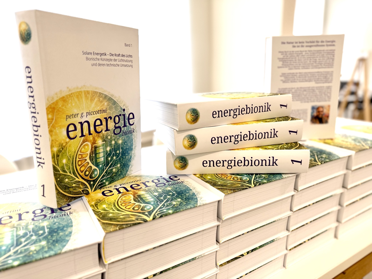 Energiebionik Band 1 – Buchansicht