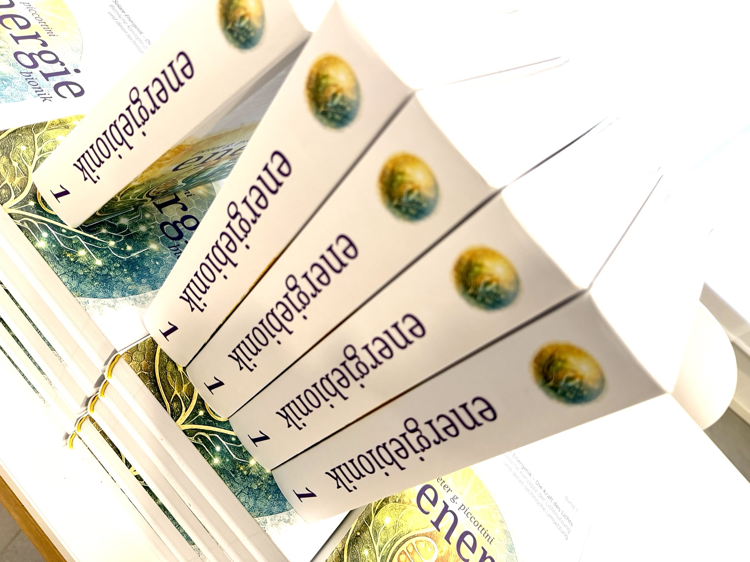 Energiebionik Band 1 – Buchdetail